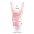 Absolute Comfort Cream With Almond 30ml Weleda Online